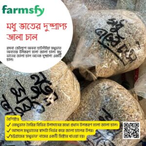 জালা চাল