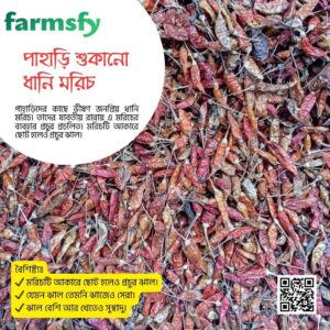 শুকনো ধানি মরিচ