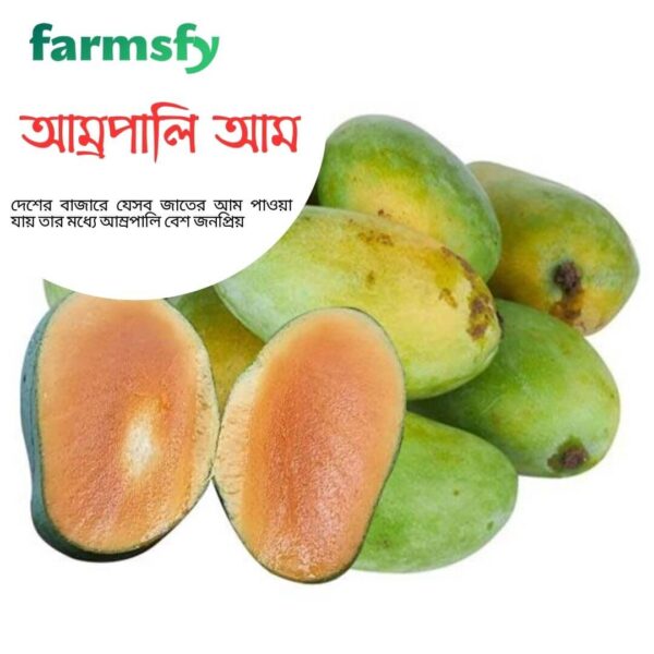 আম্রপালি আম