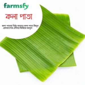 কলা পাতা