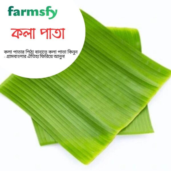 কলা পাতা