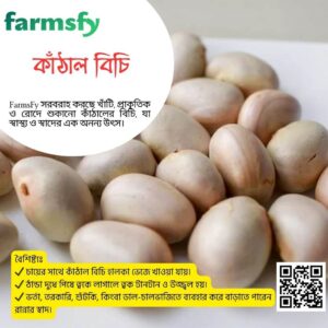 কাঁঠাল বিচি