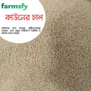 কাউন বা কাউনের চাল