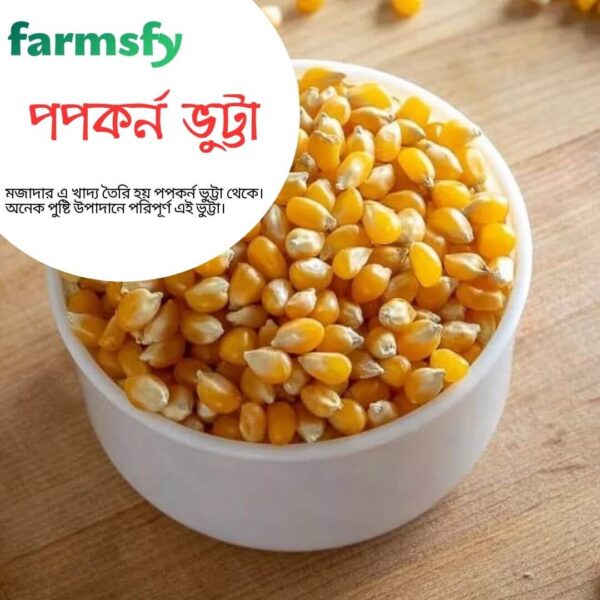 পপকর্ন ভুট্টা