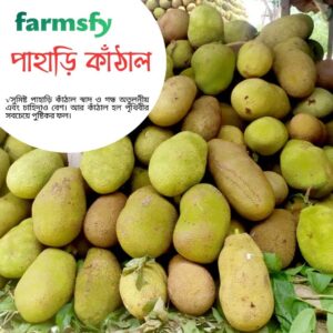 পাহাড়ি কাঁঠাল