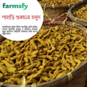 পাহাড়ের শুকনো হলুদ