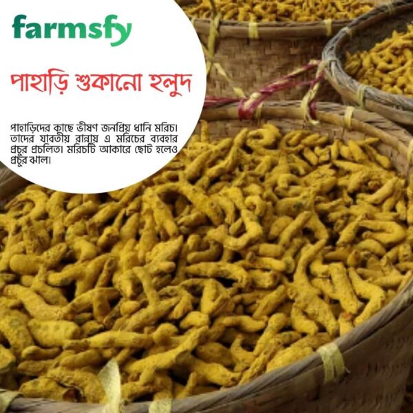 পাহাড়ের শুকনো হলুদ