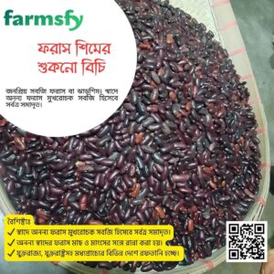 ফরাস শিমের শুকনো বিচি