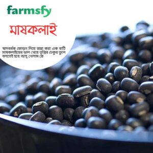 মাষকলাই