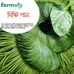 মিষ্টি পান