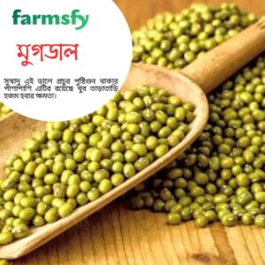 মুগডাল