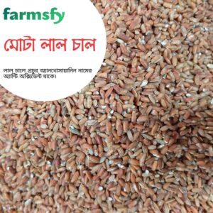 মোটা লাল চাল