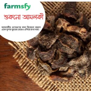 শুকনো আমলকী