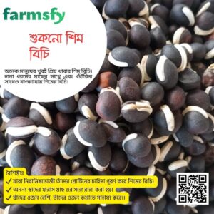 শুকনো শিম বিচি