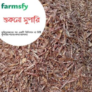 শুকনো সুপারি