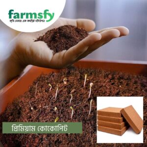 প্রিমিয়াম কোকোপিট