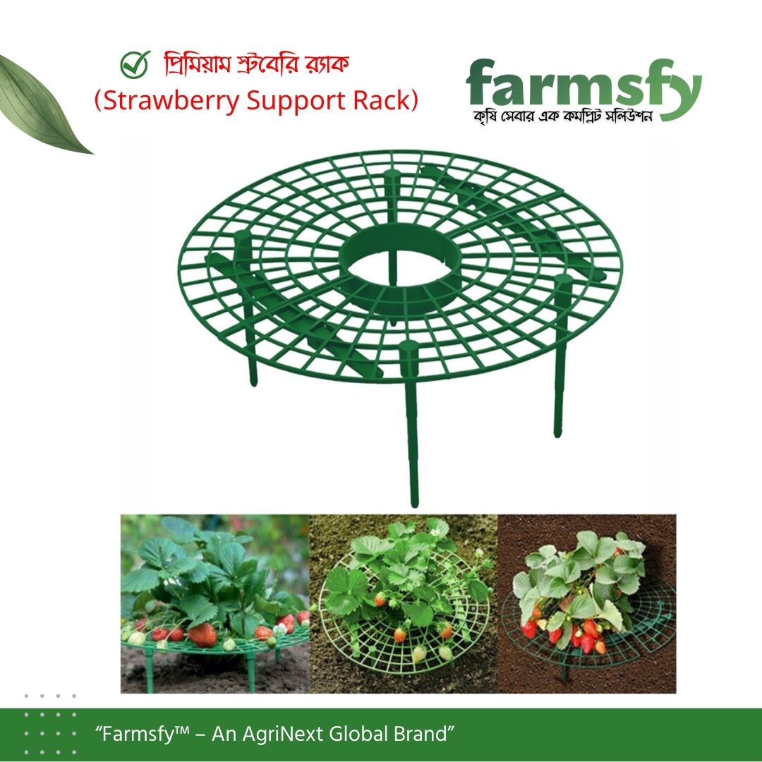 প্রিমিয়াম স্ট্রবেরি র্যাক