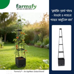 গ্রিন প্ল্যান্ট ক্লাইম্বিং ব্র্যাকেট (Green plant climbing bracket)