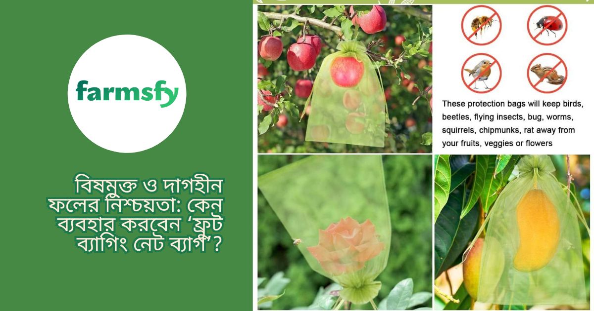 ফ্রুট ব্যাগিং নেট ব্যাগ’ (Fruit Bagging Net Bag)